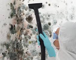 Best Mold Damage Restoration  in Combe, LA